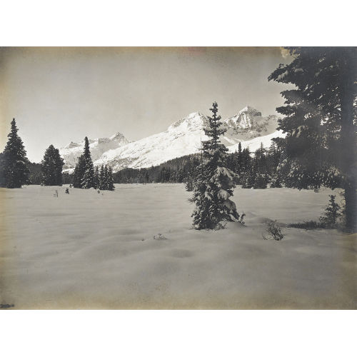 ALBERT STEINER : Winter im Engadin (DOBIASCHOFSKY AUKTIONEN AG)